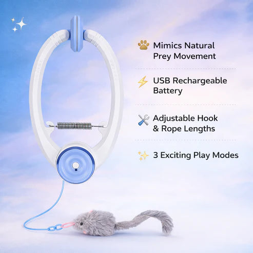 MeowBounce Toy