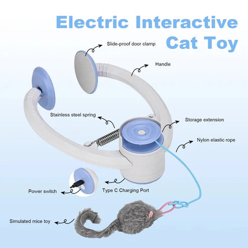 MeowBounce Toy
